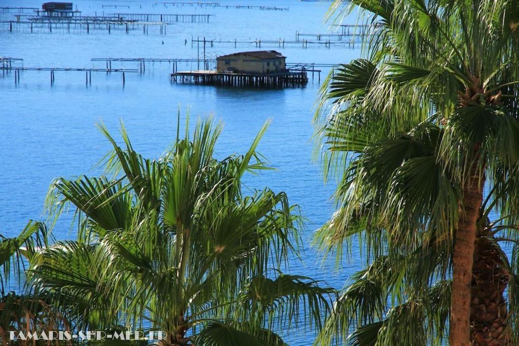 Port tamaris La Seyne-sur-Mer Exterior foto